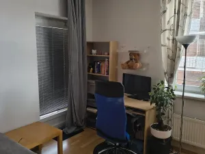 Pronájem bytu 1+kk, Brno, U Leskavy, 47 m2