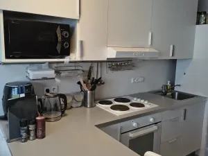 Pronájem bytu 1+kk, Brno, U Leskavy, 47 m2