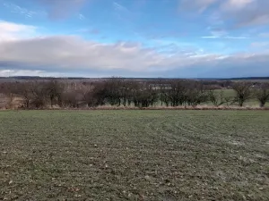 Prodej sadu/vinice, Malý Újezd, 7862 m2