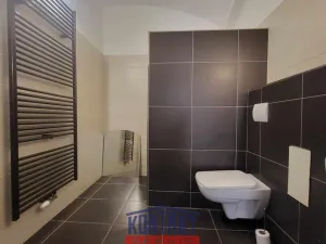 Pronájem bytu 1+kk, České Budějovice - České Budějovice 3, 48 m2