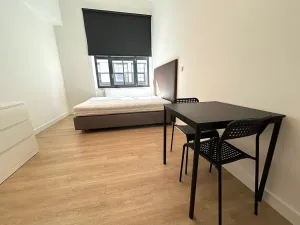 Pronájem bytu 1+kk, Praha - Vysočany, Poděbradská, 29 m2