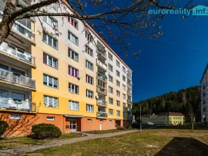 Prodej bytu 3+1, Kraslice, B. Smetany, 62 m2