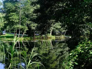 Prodej rodinného domu, Soutice, 1557 m2