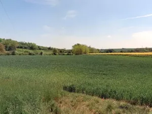 Prodej pole, Zdětín, 11949 m2