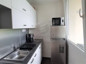 Prodej bytu 1+kk, Praha - Michle, Podle Kačerova, 29 m2