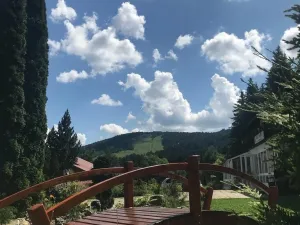 Prodej ubytování, Železná Ruda - Alžbětín, 1746 m2