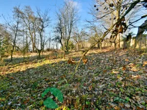 Pronájem chaty, Chodová Planá - Pístov, 28 m2