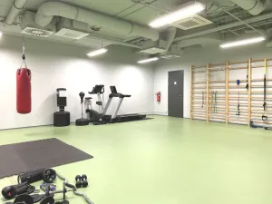 Pronájem bytu 1+kk, Praha - Smíchov, Kobrova, 50 m2