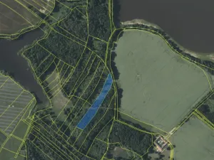 Prodej lesa, Dírná, 6834 m2