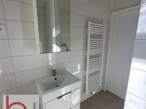 Pronájem bytu 1+kk, České Budějovice, Matice školské, 20 m2