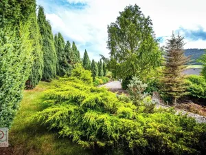 Prodej pozemku pro bydlení, Prachatice, Krumlovská, 5021 m2