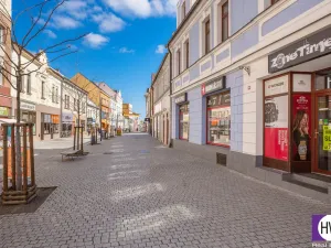 Prodej bytu 3+kk, Kladno, Zádušní, 55 m2