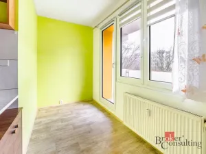 Prodej bytu 1+1, České Budějovice - České Budějovice 2, Vodňanská, 43 m2