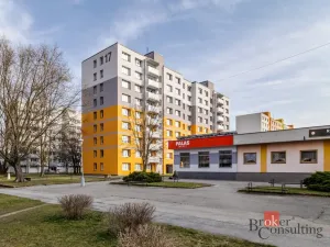 Prodej bytu 1+1, České Budějovice - České Budějovice 2, Vodňanská, 43 m2