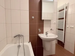Pronájem bytu 1+kk, Olomouc, Wellnerova, 45 m2