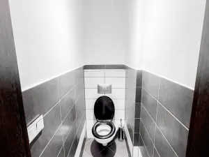 Pronájem bytu 4+kk, Kladno, Vrchlického, 75 m2