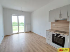 Pronájem bytu 1+kk, Znojmo, Vídeňská třída, 25 m2