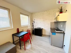 Pronájem bytu 1+kk, Kačice, K zahradě, 18 m2