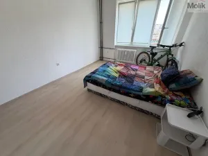 Prodej bytu 2+1, Most, Maxe Švabinského, 53 m2