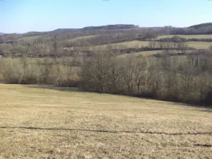 Dražba louky, Úštěk, 21164 m2