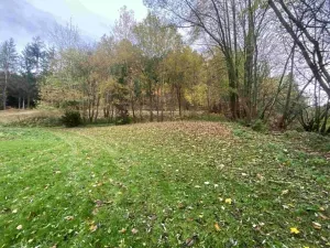 Dražba louky, Hartmanice, 1679 m2