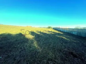 Prodej pozemku pro bydlení, Veverská Bítýška, 6811 m2