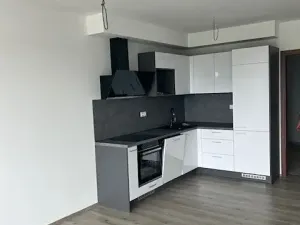 Pronájem bytu 1+kk, Pardubice, Pod Vinicí, 39 m2