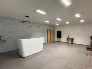 Pronájem výrobních prostor, Hradec Králové, U Fotochemy, 220 m2