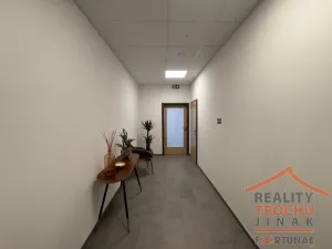 Pronájem výrobních prostor, Hradec Králové, U Fotochemy, 220 m2