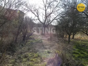 Prodej rodinného domu, Podolí, 220 m2