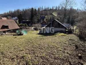 Prodej - jiné, Oborná, 40 m2