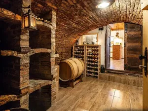 Prodej vinného sklepa, Mutěnice, 210 m2