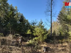 Prodej lesa, Olešnice, 18382 m2