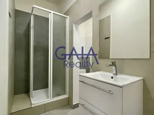 Pronájem bytu 1+kk, Veselí nad Moravou, Zámecká, 44 m2