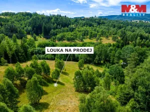 Prodej pozemku, Dlouhý Most, 8531 m2