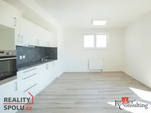 Pronájem bytu 1+kk, Heřmanova Huť - Vlkýš, U Pondu, 37 m2