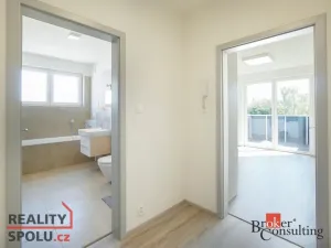 Pronájem bytu 1+kk, Heřmanova Huť - Vlkýš, U Pondu, 37 m2