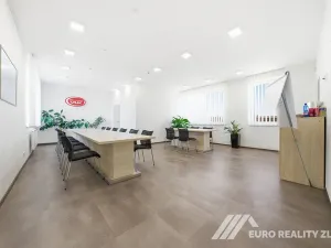 Prodej výrobních prostor, Zlín, Šrámkova, 643 m2