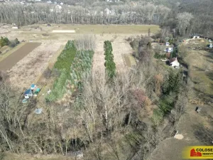 Prodej pole, Znojmo, 5202 m2