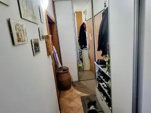 Prodej bytu 3+1, Jihlava, Okružní, 65 m2