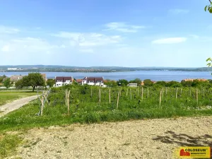 Prodej pozemku pro bydlení, Pavlov, 1132 m2