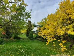 Prodej zahrady, Nový Šaldorf-Sedlešovice - Nový Šaldorf, 898 m2