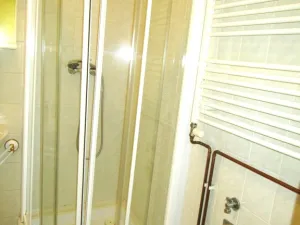 Prodej rodinného domu, Plzeň - Východní Předměstí, 160 m2