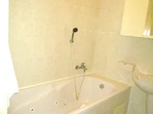 Prodej rodinného domu, Plzeň - Východní Předměstí, 160 m2