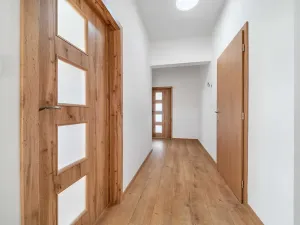 Pronájem bytu 1+1, Plzeň, Dvorní, 63 m2