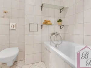 Pronájem bytu 1+kk, Praha - Podolí, Jeremenkova, 44 m2