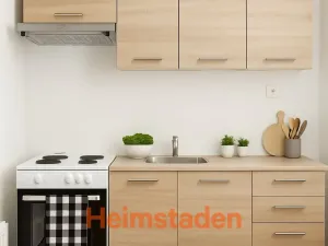 Pronájem bytu 1+kk, Orlová - Lutyně, Masarykova třída, 26 m2