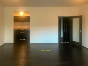 Pronájem bytu 1+kk, Brno, Hlinky, 44 m2