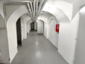 Pronájem skladu, Šenov, U Alejského dvora, 106 m2