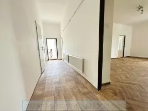 Pronájem bytu 1+1, Praha - Žižkov, U kněžské louky, 70 m2
